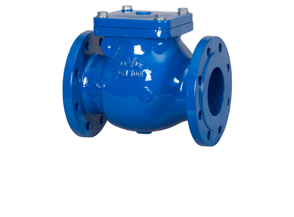 Check Valves 1